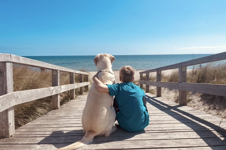 Ein Junge legt den Arm um seinen Hunde, beide blicken aufs Meer