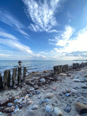 Ein steiniger Strand, man sieht ein paar hölzerene Pilonen