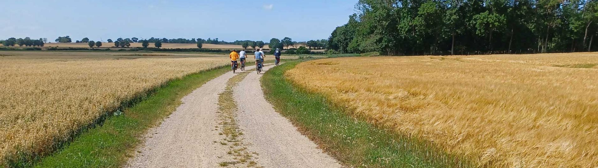 Fahrradfahrer fahren im Spätsommer einen Sandweg entlang